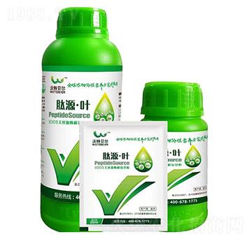 ��Դ���~-����ؐ��-���r�|��