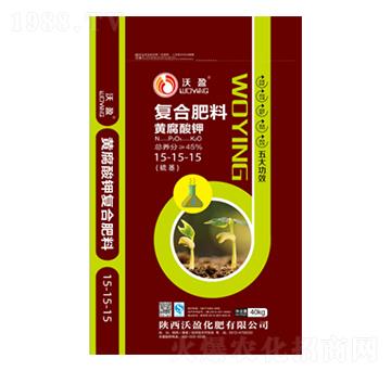 �S����⛏�(f��)�Ϸ���15-15-15-��ӯ����