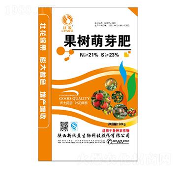 ������ѿ��--��ӯ����