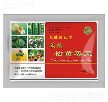 ���M��Ч�Ϳ��Sή�`-���S�Ƽ�