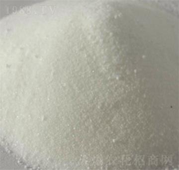 �̌���-���R