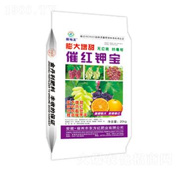 �������߼t⛌�-���