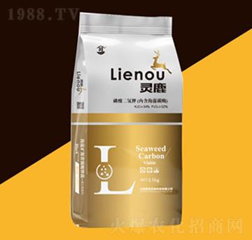 ��������-�`¹-�P������