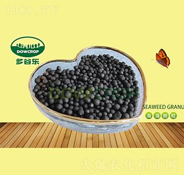 �����ЙC(j��)���w��-��Ș�(l��)