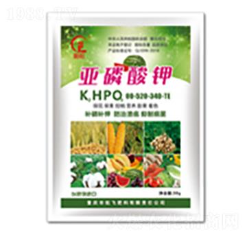 �������-���л���