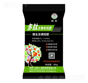 ���������ЙC(j��)��-���