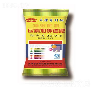 ���ؼ��׷��-�������22-0-8-�|���