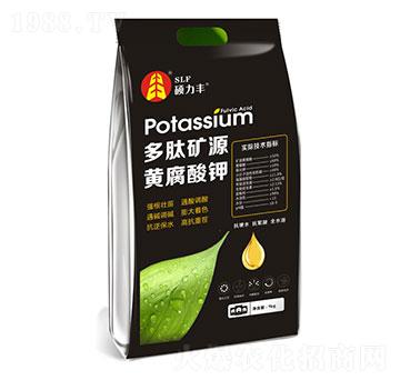 ���ĵVԴ�S�����-�T���S����