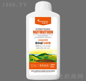 � ����GֲԴ-������-��˼�D