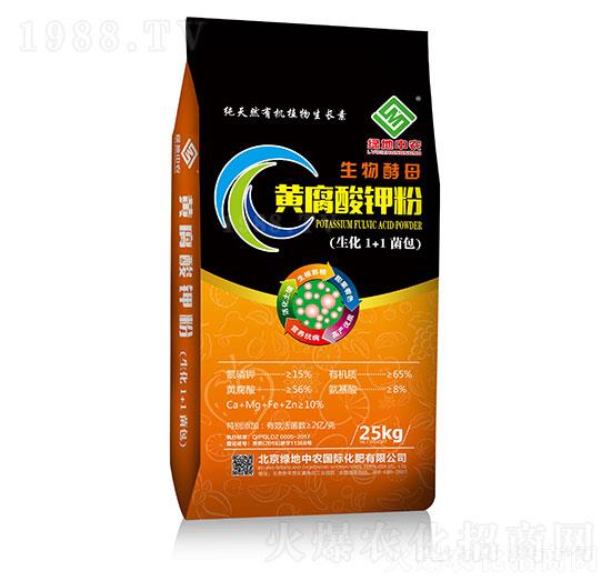 �S����⛷�-�G�����r