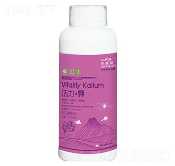 �������-�Θ��r(n��ng)�I(y��)