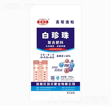 ����������(f��)�Ϸ���28-6-6-��(y��u)�ؠ�