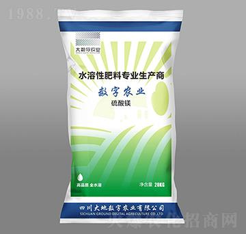 �����V-��(sh��)���r(n��ng)�I(y��)