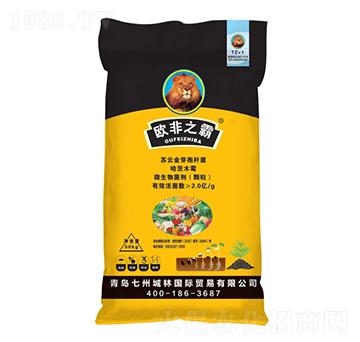 �����طN��-�W��֮��-���ݳ���