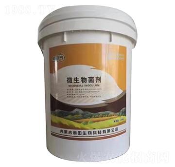 20kg΢�������-��(r��n)������