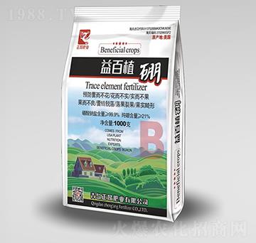 ���ֲ��-�����ʘI(y��)