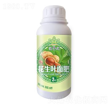 �����~���2̖(h��o)-���A٢-�h���r(n��ng)�I(y��)