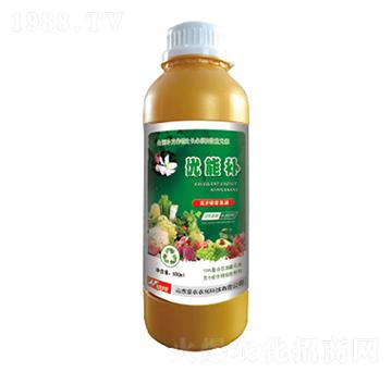 �I(y��ng)�B(y��ng)��sҺ-��(y��u)���a(b��)-�и�����