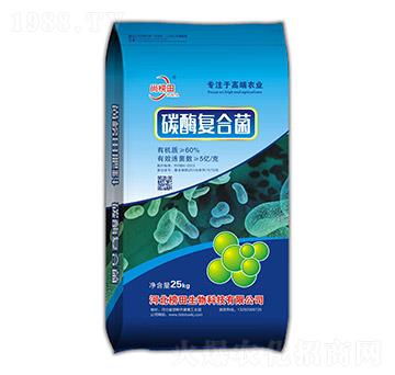 ̼ø��(f��)�Ͼ�-�а���-��������