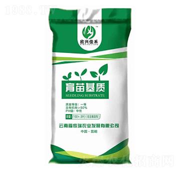 ������|(zh��)-���d�Ѻ�-������