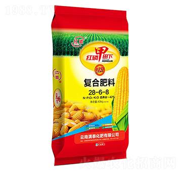 �t�������(f��)�Ϸ�28-6-8-�M̩����