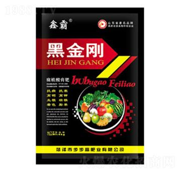 ��ֲ����-�ڽ���-��