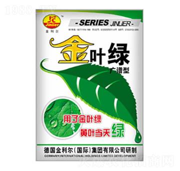 ���~�G-�ΰ�-�����߷�