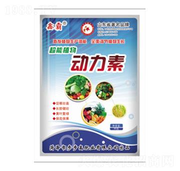 ֲ���(d��ng)����-�ΰ�-����