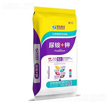 ���@+�-Ҽ���μ�