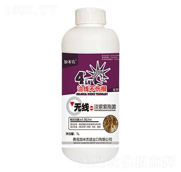 �������߾�-�����r(n��ng)