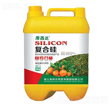 ��(f��)�Ϲ�-Ħ���_(d��)-������r(n��ng)