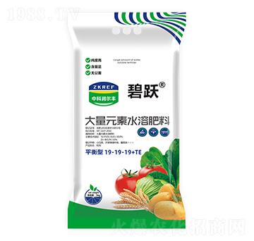 ƽ���ʹ���Ԫ��ˮ�ܷ���19-19-19+TE-���S-�пƝ����S