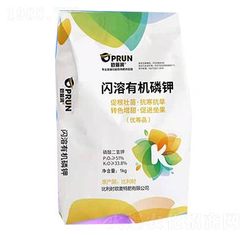 �W���ЙC���-�W�՝�-�xҫ����