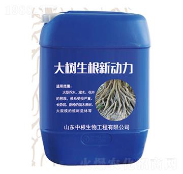 ���������(d��ng)��-�и�����