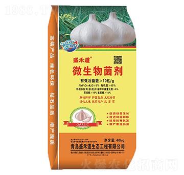 10�|΢�������-ʢ�̵�