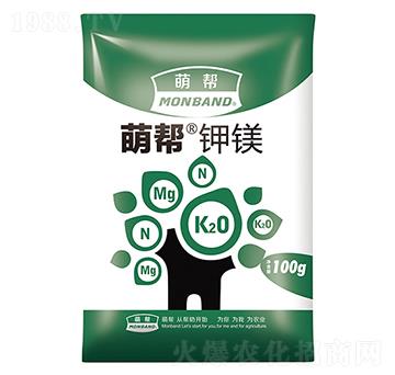 �Ȏ���V-�Ȏ�