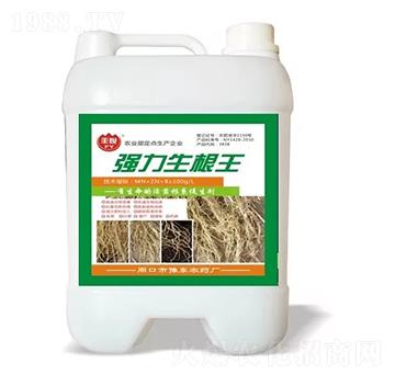 ����������-�S��-ʷ�Ͽ�