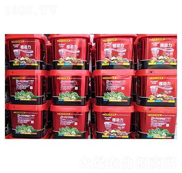 ������-ǰ�طʘI(y��)