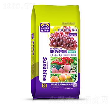 �������14-5-24-�_���S-ǰ�طʘI(y��)