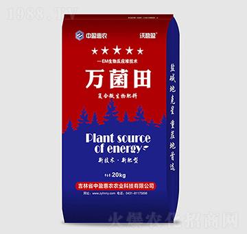 ��(f��)��΢�������-�f����-��ӯ���r(n��ng)