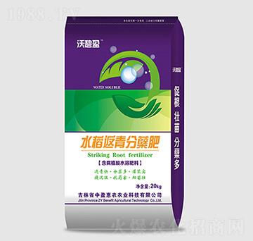 ˮ��������Y��-�ֱ�ӯ-��ӯ���r(n��ng)