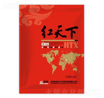 �t����-���_(d��)���W(xu��)