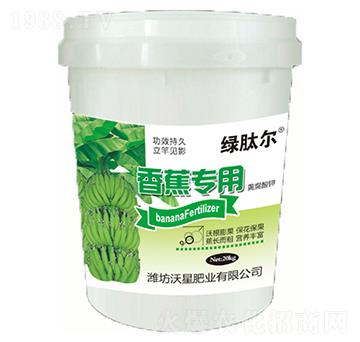 �G�Ġ��㽶����-�G�Ġ�