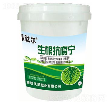 �G�Ġ�����������-����