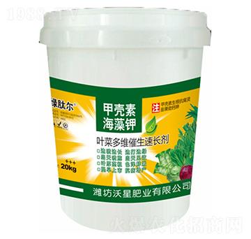 �~�˶�S�������L��-��