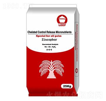 �~�\��8-8-8-�Ŷ�-�����Ƽ�