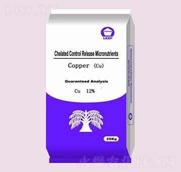 �����~��-�Ŷ�-�����Ƽ�