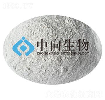 �޴�ѿ�ߗU��-��������