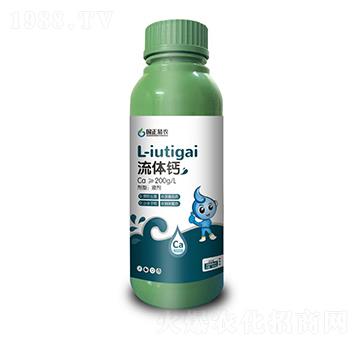 ���w�}-��(gu��)�����r(n��ng)