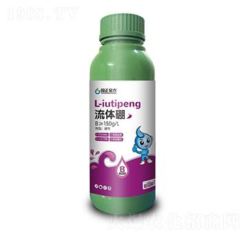 ���w��-��(gu��)�����r(n��ng)